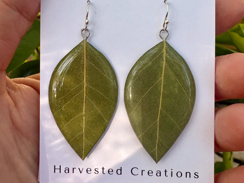 Harvested Creations